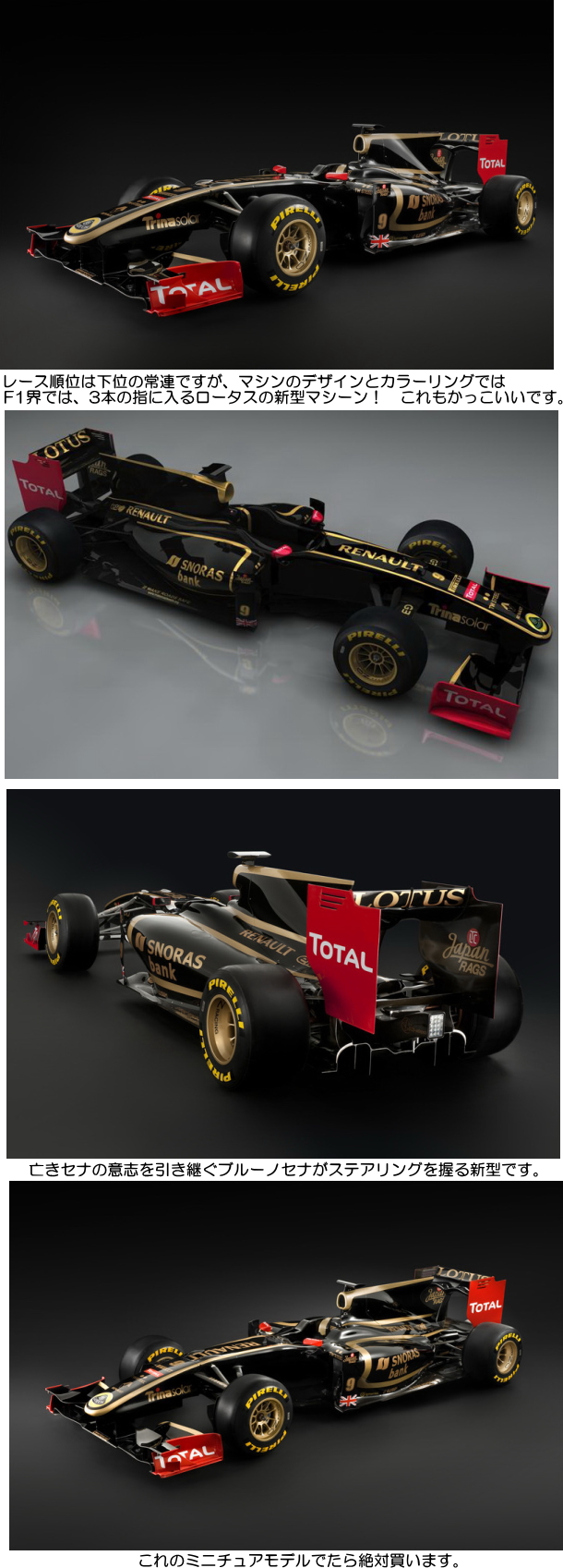 f1new.jpg